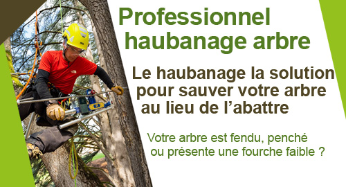 Haubanage et consolidation partout en France